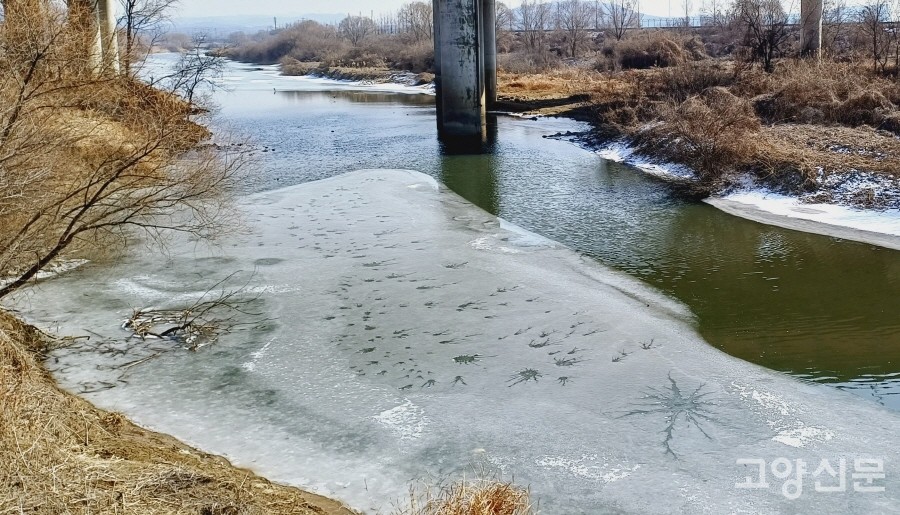창릉천 하구 빙판에  돌멩이를 던진 흔적이 콩콩 찍혀있다. 