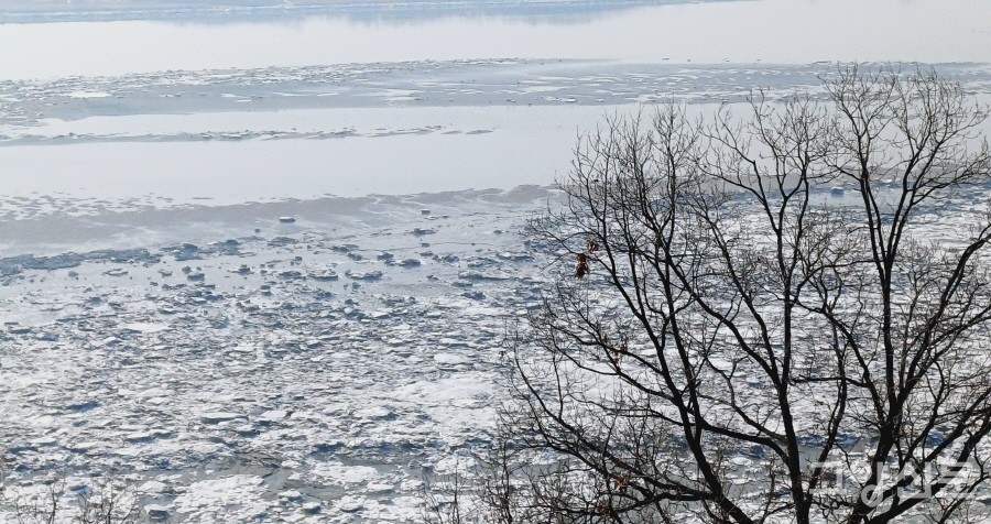 한강 하구의 독특한 풍경인 쇄빙과 유빙. 