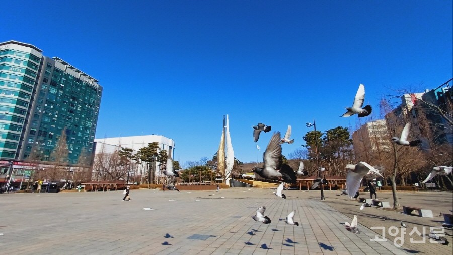 일산신도시의 중심부에 자리하고 있는 일산문화광장. 