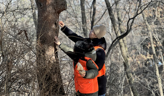 고양시자원봉사센터가 일산동구 정발산에서 야생 조류에게 먹이를 주는 ‘에코 볼런투어’ 활동을 했다.