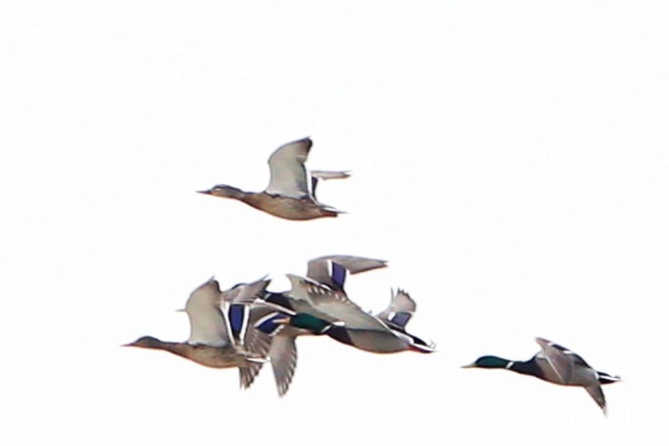 나들이에 참가한 나경표 님의 사진이다.