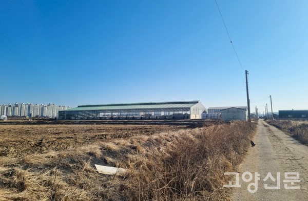 법곳동 축사 24일 사진. 축사 뒤편으로 가좌마을 아파트가 인접해 있다.