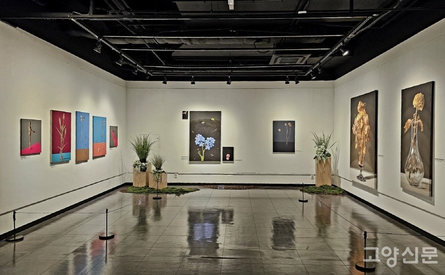 물망초와 시든 꽃들을 그린 오흥배 작가의 작품들이 전시된 공간. 