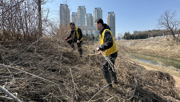 이재화 안셀모 백석동성당 신부(오른쪽)도 초기 제초작업을 하고 있다.