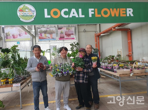 실내 초화류 매장