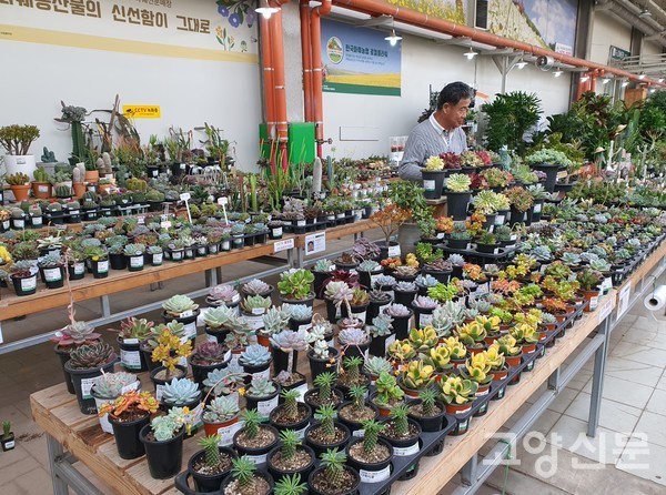 내빈들이 테이프커팅식을 했다.