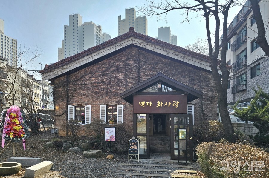 이음이 운영을 맡아 복합문화공간으로 재개장한 '백마 화사랑'. 