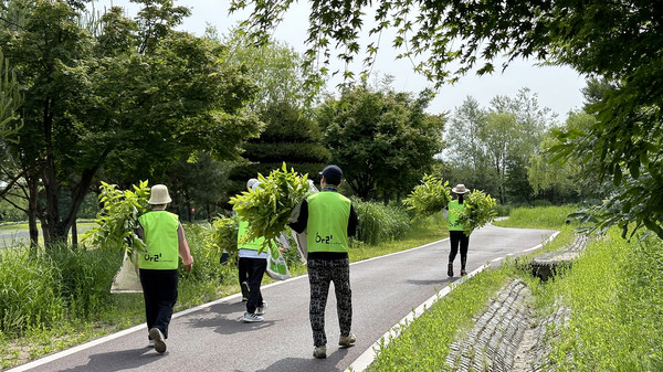 난지도 나무심기 환경봉사. 자연지킴이와 환경 활동 등 다양한 봉사를 한다.