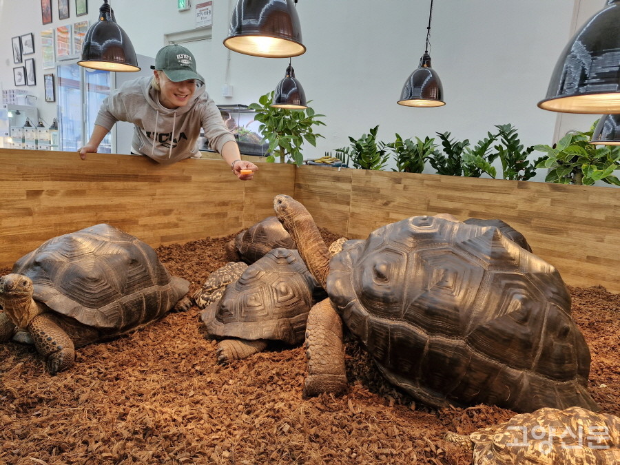 유명 래퍼 '아웃사이더'에서 특수동물과 반려동물학과 전임교수로 변신한 신옥철 랩 아카데미 원장. 