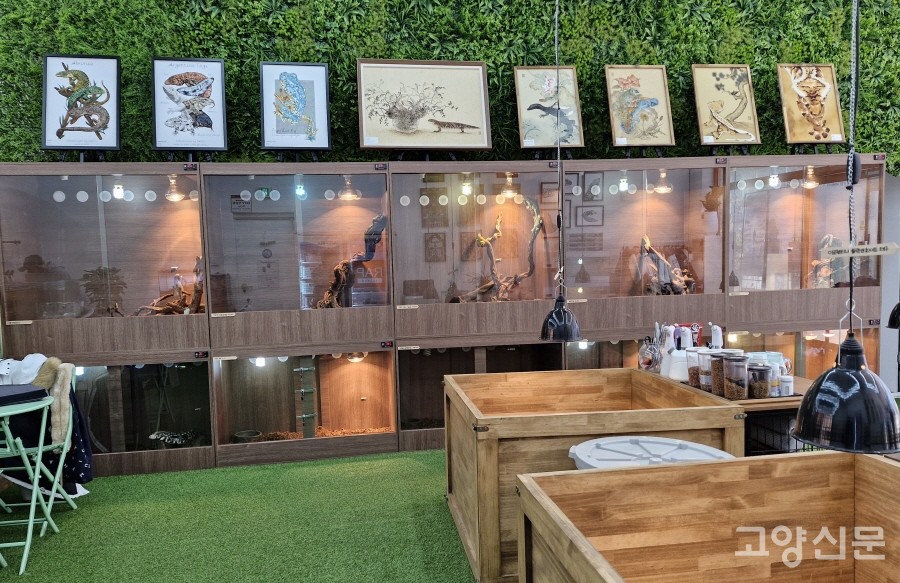 작은 정글 비바리움과 특별한 양서류와 파충류를 깨끗한 환경에서 만날 수 있는 랩 아카데미.