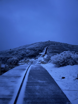 노고단 오르는 길. [사진=김수지]