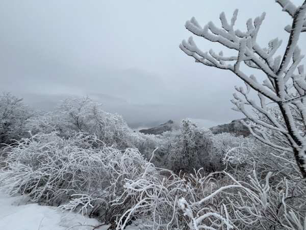겨울 지리산의 상고대. [사진=김수지]