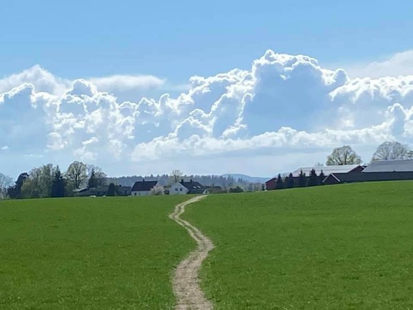노르웨이 오슬로 인근 숲과 마을 풍경. [이철규 북유럽특파원]