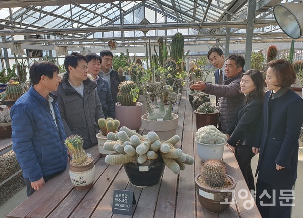 제2관에 있는 남아프리카 원산지의 '아데니아 글라우카'는 수령 40년 이상이며, 원산지에서도 거의 볼 수 없는 귀한 구근다육이다. 농업기술센터 직원들이 식물원을 찾은 날, 연한 노랑빛깔의 꽃을 피웠다.