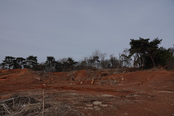 사정없이 파헤쳐진 백로 번식지 주변. [사진=에코코리아]