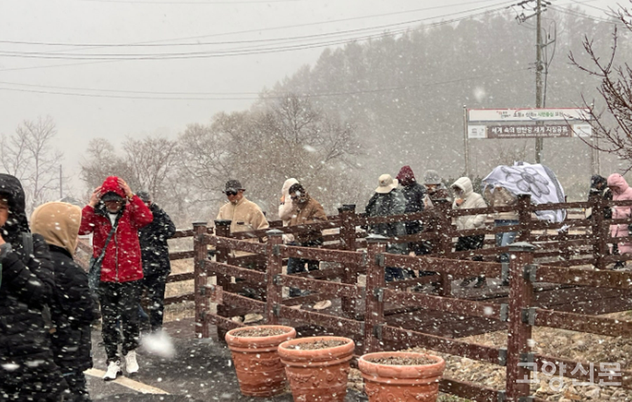 이날 갑자기 눈보라가 몰아치다가 햇살이 비치고, 강풍이 부는 등 날씨가 변화무쌍했다. 