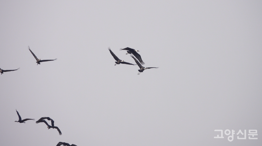 [사진=최해성 기자]