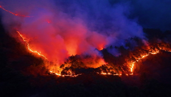 2025년 경상남북도에서 동시다발로 발생한 산불은 대형산불로 번지며 역대 최악의 피해를 남겼다. [사진제공=최병성]