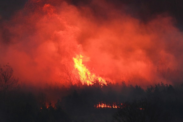 소나무와 같은 침염수림에 산불이 나면 불기둥이 치솟고 불똥이 사방으로 날아가는 비화(飛火)로 번진다. [사진제공=최병성]