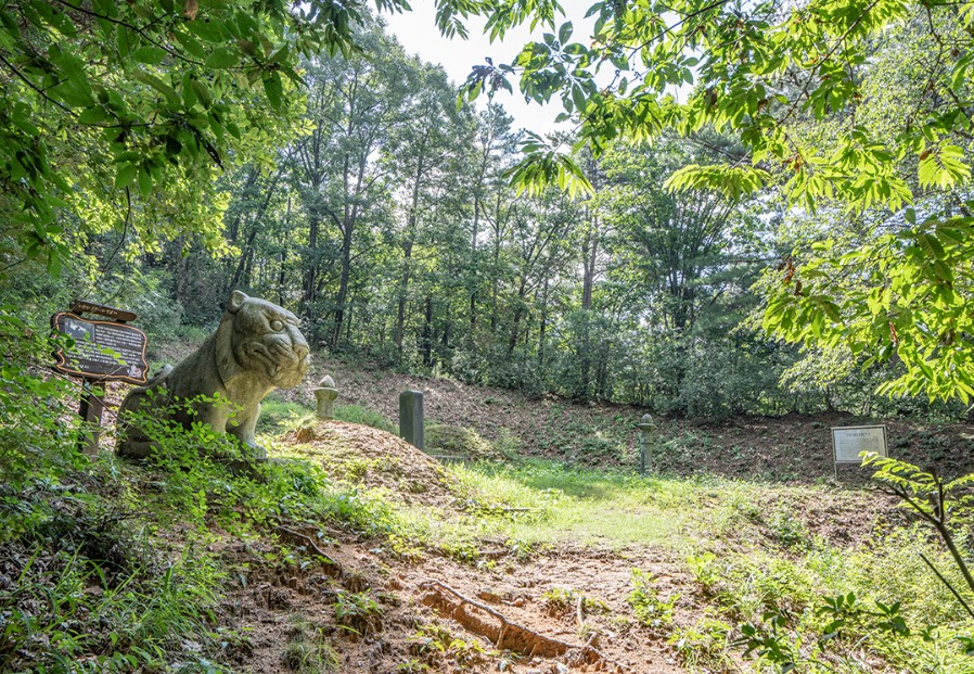박태성의 묘와 호랑이 석상(고양시사이버역사박물관 캡쳐)