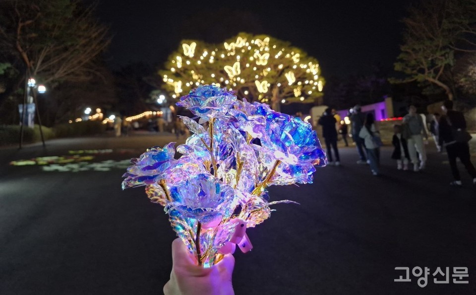 주변 상가를 이용한 3만원 이상 영수증을 제시하면 아름답게 빛나는 장미꽃을 선물로 받을 수 있다.