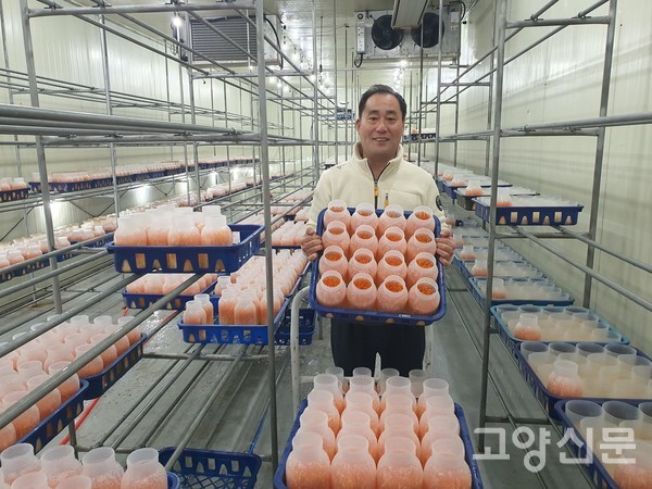 강석준 대표가 전용 용기에서 재배하는 동충하초를 보여주고 있다.