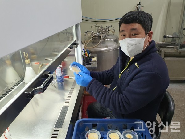 둘째 강석인씨가 원균 배양한 것을 대형 균통에 넣는 작업을 했다.