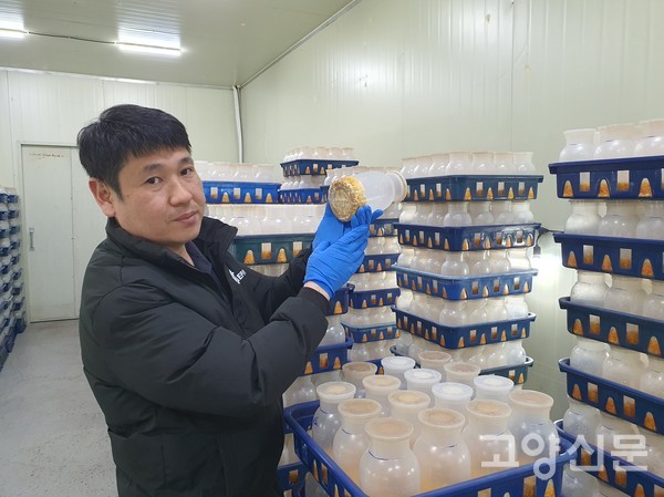 셋째 강석진씨가 현미와 귀리에 종균 투입후, 균 배양 과정을 살펴보고 있다.