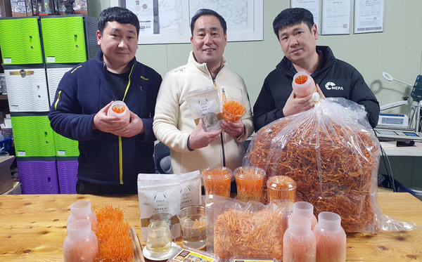 (오른쪽부터) 셋째 강석진, 첫째 강석준, 둘째 강석인 형제. 이들은 동울성 배지로 동충하초를 재배하는 한편 귀리와 현미 식물성 배지 재배에도 힘을 쏟고 있다.