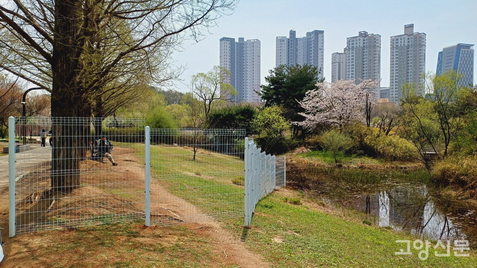올해 유료입장 구간은 자연학습원 앞에서 끝난다. 
