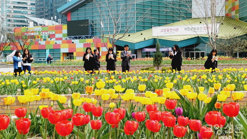 꽃박람회 개막을 앞두고 미리 일산호수공원을 찾아 봄 정취를 즐기는 시민들. 