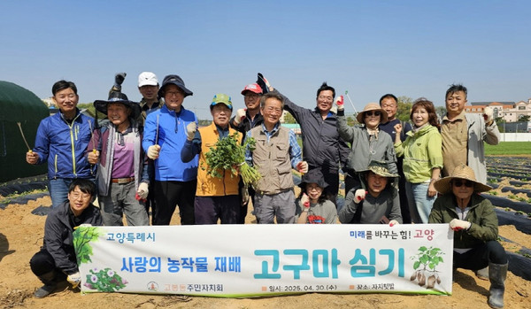  고봉동 주민자치회가 성석동 내 주민자치회 텃밭에서 ‘사랑의 농작물 재배 고구마 심기’를 했다.