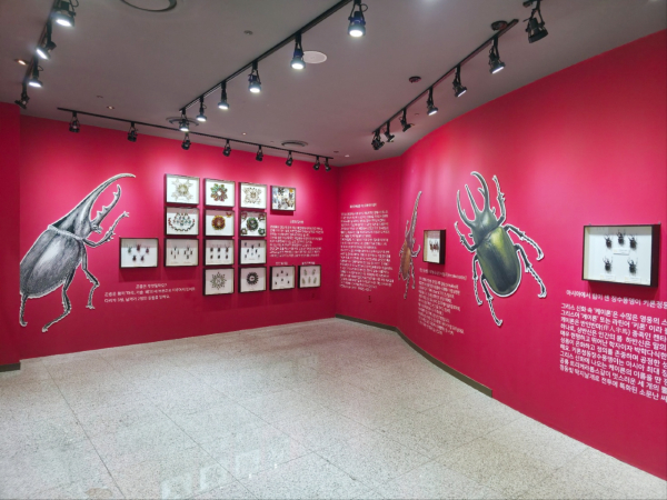 킨텍스 곤충박물관 '옐로우지브라' 내부 [사진제공 = 킨텍스]