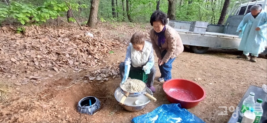 산제사 당일 아침, 항아리를 열어 조라술을 거르는 모습. 