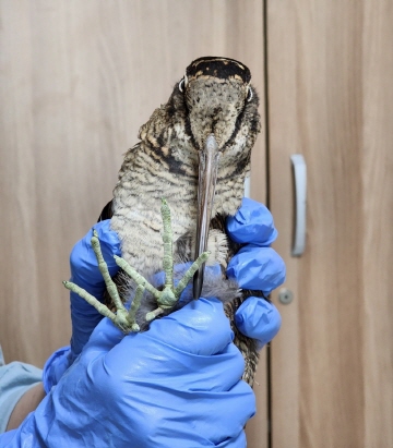 [사진제공=에코코리아]