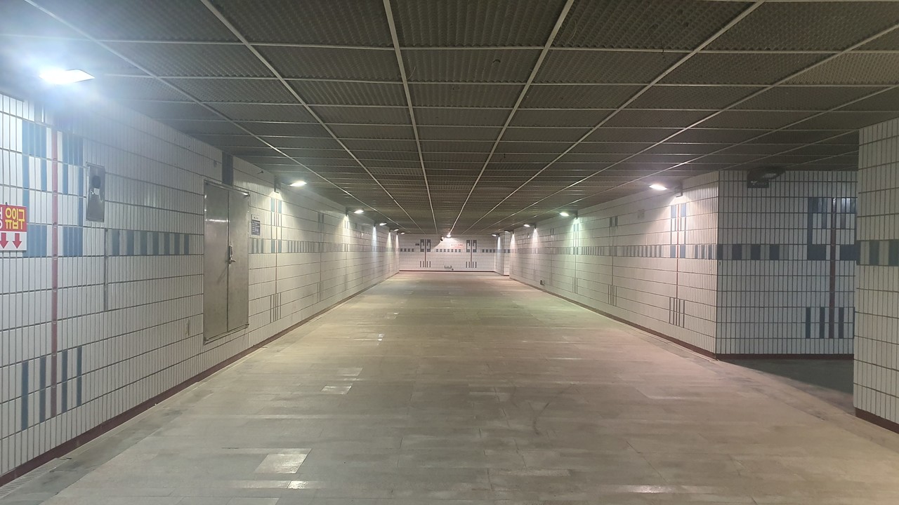 버려진 공간이었던 백석 지하보도가 딸기를 수확하는 스마트팜으로 재탄생한다. 이 지하공간에 스마트팜을 비롯해 체험교육장, 카페 등이 들어설 예정이다.