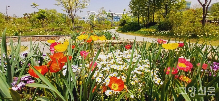 화사한 봄꽃들이 만발한 서울식물원 주제원.