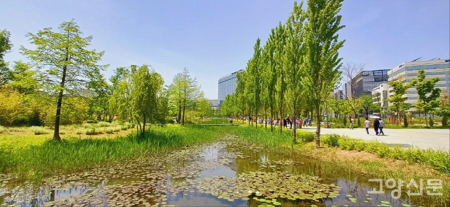 서울식물원 외곽의 무료 개방구간인 열린숲 풍경. 