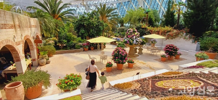 온실 지중해관의 인기 포토존.  