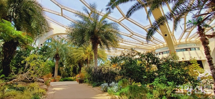 온실은 열대관, 지중해관, 스카이워크로 구성됐다.