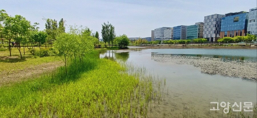 서울식물원 무료 개방구간인 호수원 풍경.