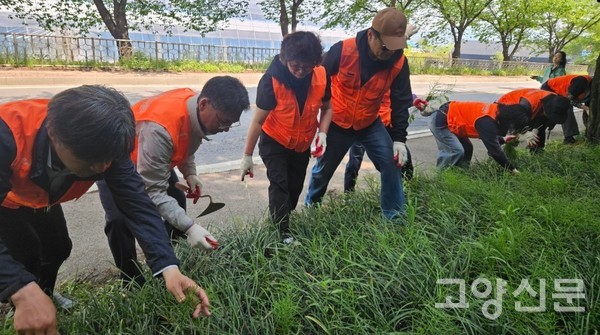 제29기 교육생들이 성큼 찾아온 무더위를 잊은 채 가로화단의 잡초를 뽑고 있다.