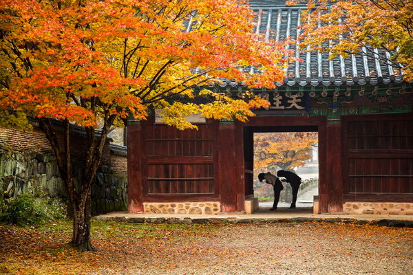 공주 마곡사 천왕문. Ⓒ최우성