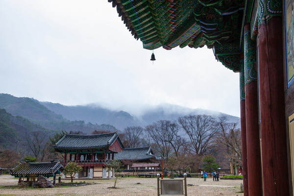 장흥 보림사 전경. Ⓒ최우성