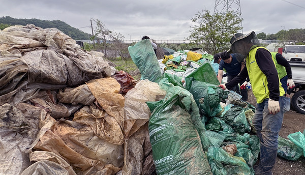 철저하게 분리를 하는  한국후계농업경영인·한국농촌지도자 고양시지회 화전지구 회원들.