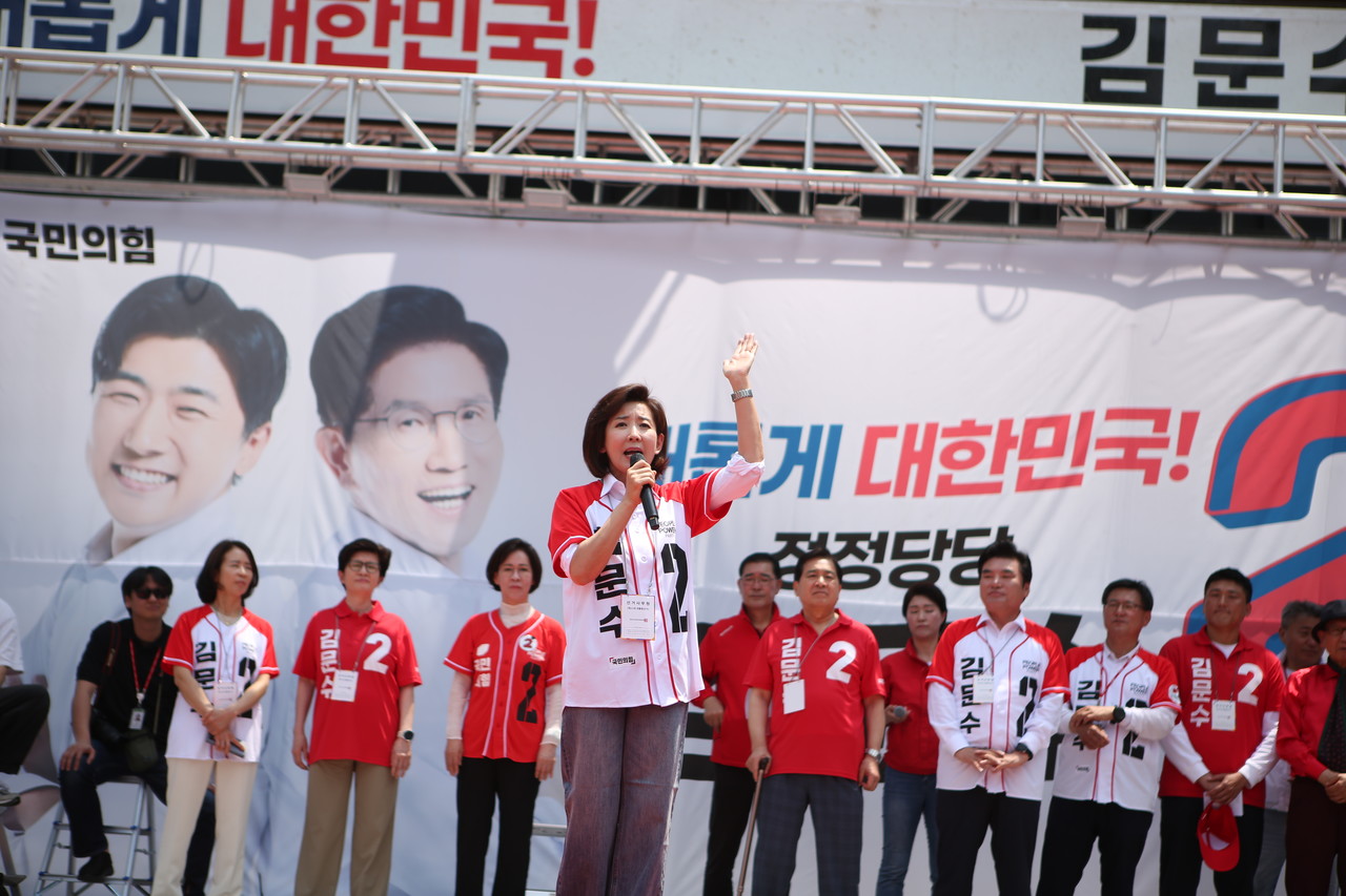 나경원 국민의힘 공동선대위원장