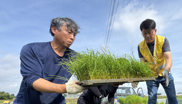 심은보 조합장(오른쪽)과 윤현철 농촌지도자 회원이 모판을 나르고 있다.
