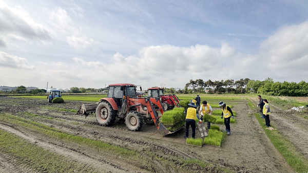  이날 많은 농기계도 모판지원에 함께 했다.
