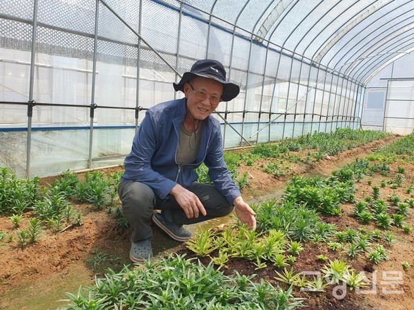 26년째 나리꽃 품종을 개발하는 진광산 대표. "특히 ‘나리꽃 무늬종’은 2014년부터 노란 잎사귀가 나오고 빨간색 꽃이 계속 피어나는 희귀꽃으로 관상가치가 높다"고 설명했다.