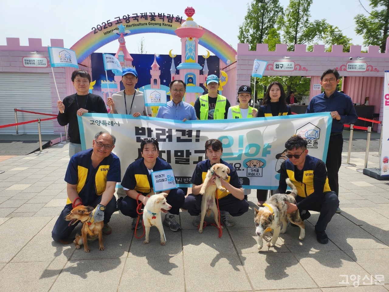 지난 8일 고양시 동물보호센터, 반려동물입양센터와 함께 ‘펫플로깅’ 거리캠페인을 진행한 뒤 단체사진을 찍었다. [사진제공= 고양시 동물보호센터]